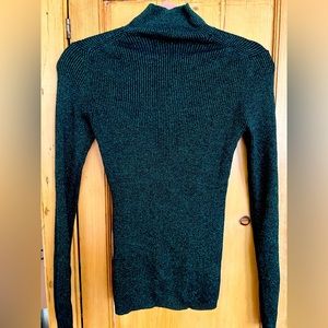 Sparkly green Diane von furstenberg (DVF) turtleneck